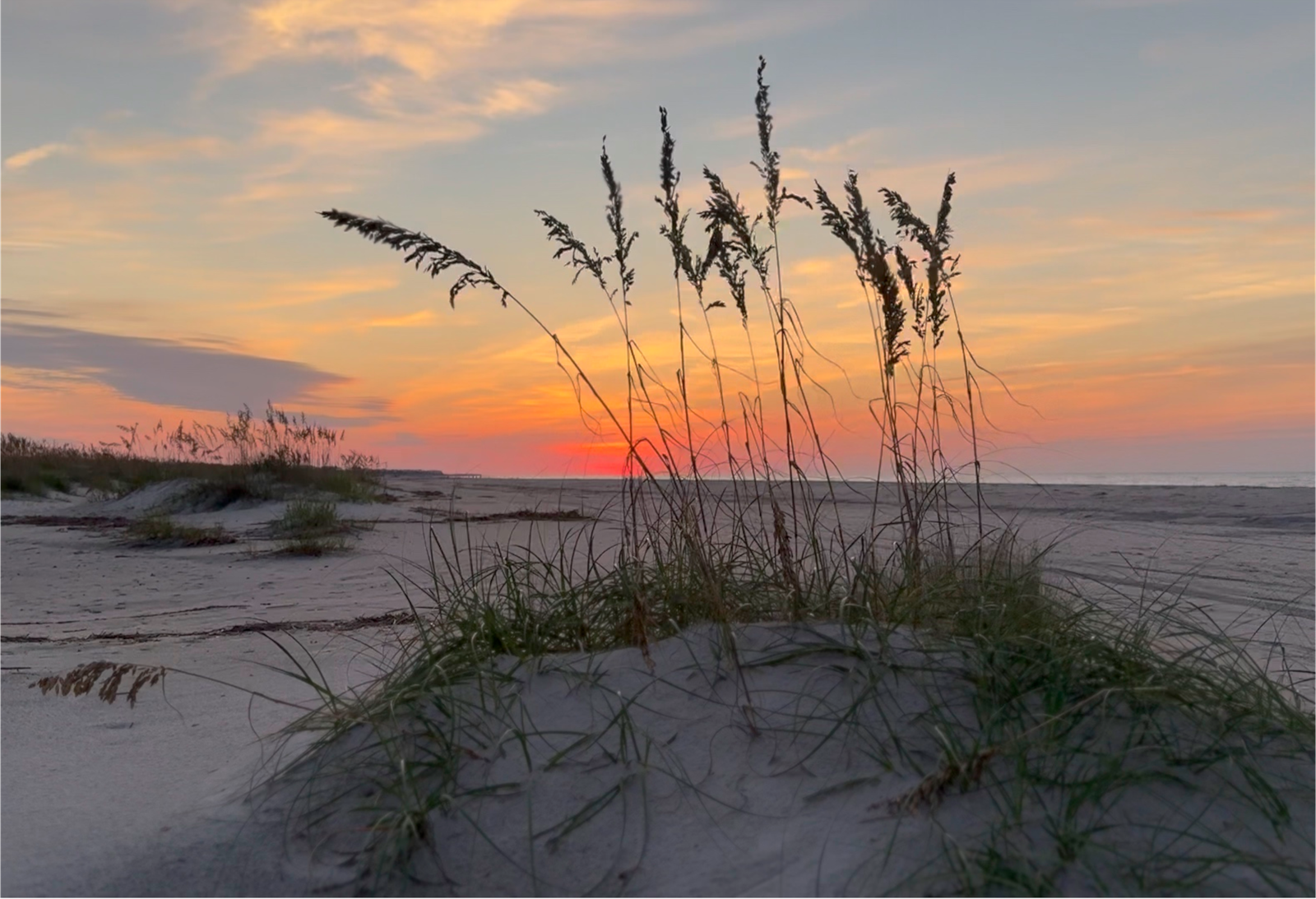 Sea grass sunrise | orange and red sunrise with sea grass and dunes